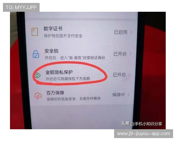 j9九游会(中国)官方网站的安全支付方式及资金保障措施介绍 j9九游会(中国)官方网站的安全支付方式及资金保障措施介绍